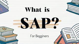 What Is SAP For Beginners?  The Only Video You Need To Watch