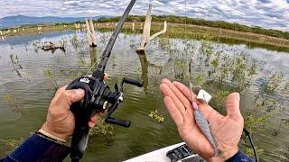 Nunca pensé que este Lago tuviera TANTO Pescado Señuelo secreto