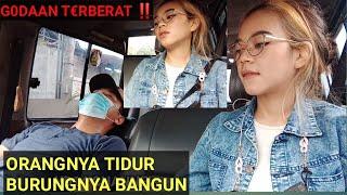 PRANK TAXI ONLINE  ORANGNYA TIDUR BURUNGNYA BANGUN ‼️