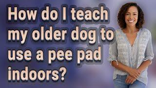 How do I teach my older dog to use a pee pad indoors?