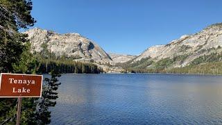 202308 Yosemite National Park Tioga Road