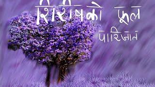 Siris ko phool by Parijat The blue Mimosa Nepali Audiobook   Full Audiobook