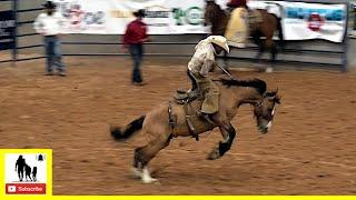 Bronc Riding  2022 Coors Cowboy Club Ranch Rodeo  Saturday