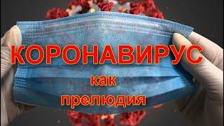  Коронавирус как прелюдия.  Политтехнологии. Предательство Эха.  Беженцы.