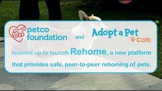 Rehome by Adopt-a-Pet.com and the Petco Foundation