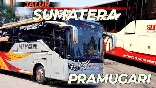 LINE UP SEMAKIN MEMANAS‼️BUS SLEEPER & SUITE COMBI JADI BANYAK INCARAN PENUMPANG KE ARAH SUMATERA