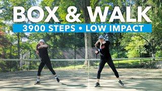 Box & Walk Cardio Workout #12 28 MIN 3900 Steps