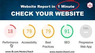 Check Website Performance Accessibility SEO in 1 Minute