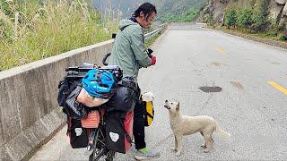 If you follow us to campsiteIll take you inA stray dog followed a cycling couple for over 200 km