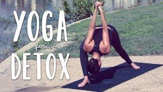 Detox Yoga  20 Minute Yoga Flow for Detox and Digestion