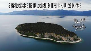 Snake island in Europe - island with venomous Nose-horned vipers and Dice snakes Golem Grad