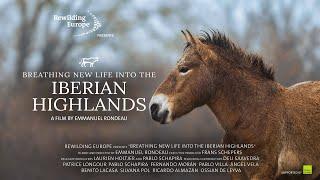 Breathing New Life Into The Iberian Highlands  Documentary by Emmanuel Rondeau  Rewilding Spain