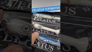 pelatus topwater #pesca #fishing #fish #fishinglife