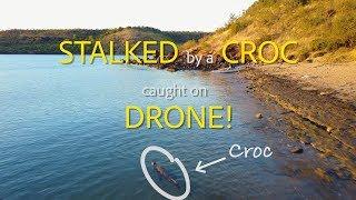 Stalked by a Croc Caught on Drone