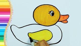 صفحات التلوين  كيفية رسم بطة تعلم الرسم و التلوين تلفزيون الاطفال - Arabic
