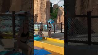 Water Park Water Slide -Sumer Holiday Sunny Day #aquapark #waterpark