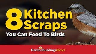 8 Kitchen Scraps You Can Feed to Wild Birds