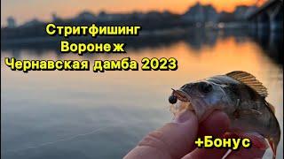 Рыбалка на  Воронежском водохранилище. Не за рыбой а удовольствием Воронеж Микроджиг Фарио