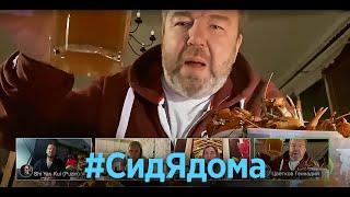 #СидЯдома  Первый ситком на удалёнке - 5 серия