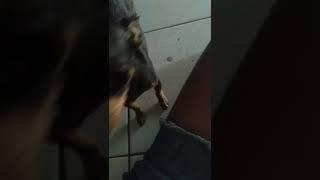 vídeo de sexta parte 2