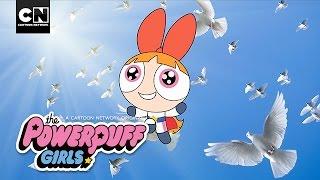 The Powerpuff Girls  5 Reasons Youre Actually Blossom  Cartoon Network