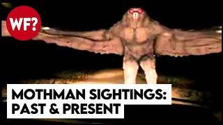 The Mothman Returns Point Pleasant Legend to Chicago Terror