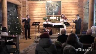 Antonio Vivaldi. The Four Seasons. Spring. 2. Largo. Karlina Ivane violinviola