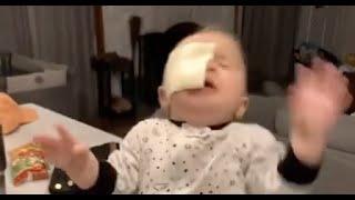 【面白い動画】TikTokの爆笑したくなる子供赤ちゃんのおもしろハプニング集 #1