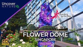 Flower Dome  Singapore  Full Tour  4K