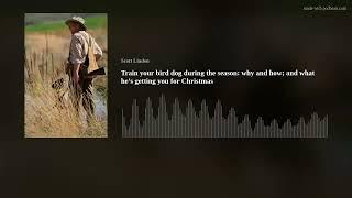 Train your bird dog during the season why and how and what he’s getting you for Christmas