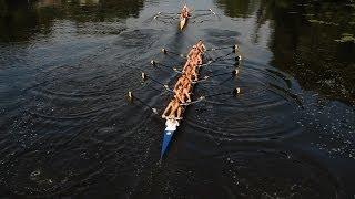 Rowing Its Good For Your Brain