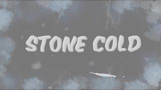 Stone Cold - Dess Dior & Mariah The Scientist Official Lyric Video