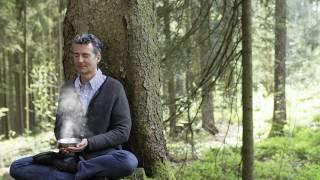 Dr. Markus Strauß über Die Wald-Apotheke