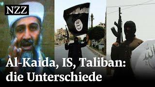 Al-Kaida die Taliban und der IS – was unterscheidet die Terrororganisationen?
