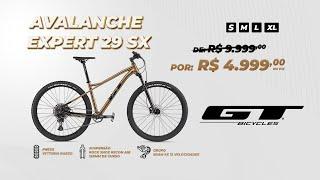 GT Avalanche Expert 29 SX