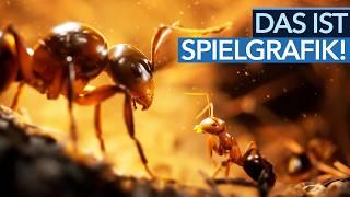 Echtzeit-Strategie mit Unreal Engine 5 - und unheimlich vielen Beinen  Empire of the Ants