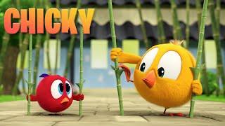 Wheres Chicky? Funny Chicky 2023  COMPILATION  Cartoon in English for Kids  New episodes