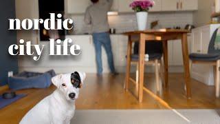 A simple happy life with a dog  Silent vlog Norway