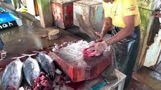 Tuna Fish Cutting  Fish Cutting Skills Sri Lanka Amazing Fish Cutting Experts