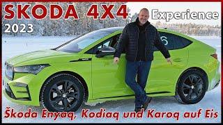 Skoda Enyaq  Skoda Kodiaq  Skoda Karoq - Mit Allrad auf Eis - Die Škoda 4x4 Experience 2023