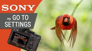 My Sony Camera Settings for Wildlife & Bird Photography For A7RIV A7RII A9 A9II