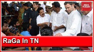 Rahul Gandhi Hits Campaign Trail In Tamil Nadu Today