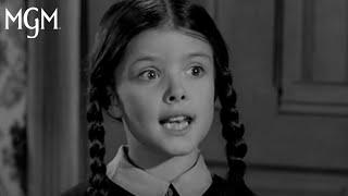 The Best of Wednesday Addams  MGM Studios