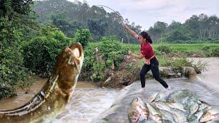 How to catch giant fish in flood water harvest more bananas to sell at the market my daily life