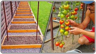 200. Tomato Beds Convenient and Very Productive 410 kg per 18 m²