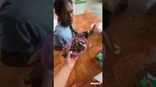 Odgj ini marah kalau ga di kasih makan #shorts #anakdesa #minivlog