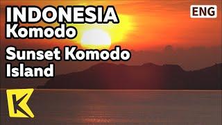 【K】Indonesia Travel-Komodo인도네시아 여행-코모도코모도 섬에서 보는 일몰BeachFishCoral reefSunset