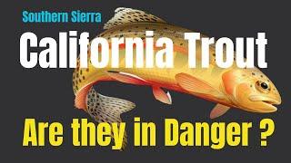 Southern Sierra Native Trout - Biologist Dan Christenson