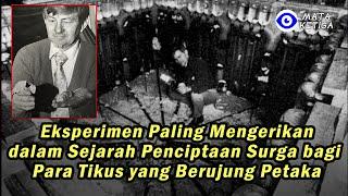 Eksperimen Paling Mengerikan dalam Sejarah Penciptaan Surga bagi Para Tikus yang Berujung Petaka