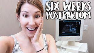 6 Week Postpartum Doctors Appointment - What To Expect